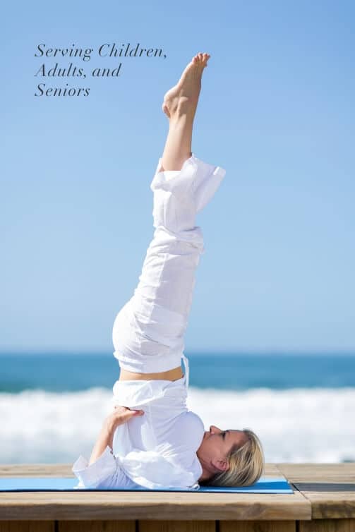 Chiropractor Herndon Va